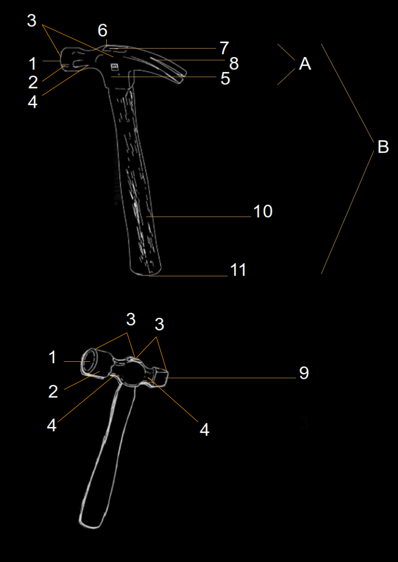 schema morfologie pen&ndash; en klauwhamer