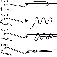 ScaffoldKnot