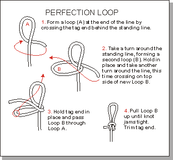 perfection loop